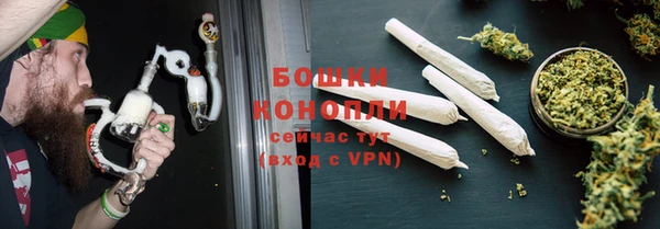 гидра Костерёво