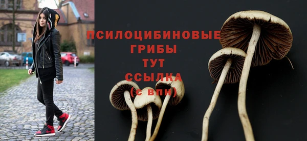гидра Костерёво
