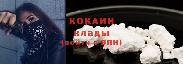 гидра Костерёво
