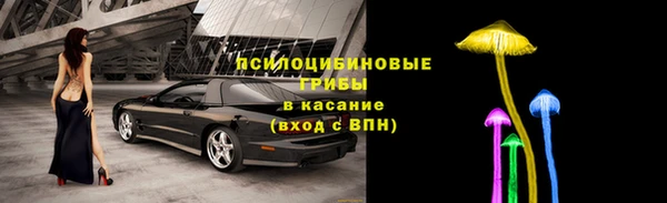 гидра Костерёво