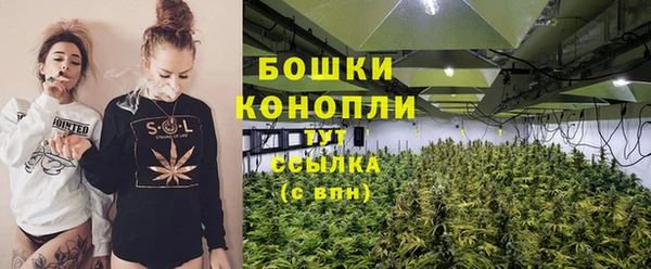 гидра Костерёво
