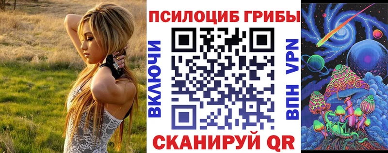 хочу наркоту Красково МЕГА ONION Псилоцибиновые грибы Cubensis